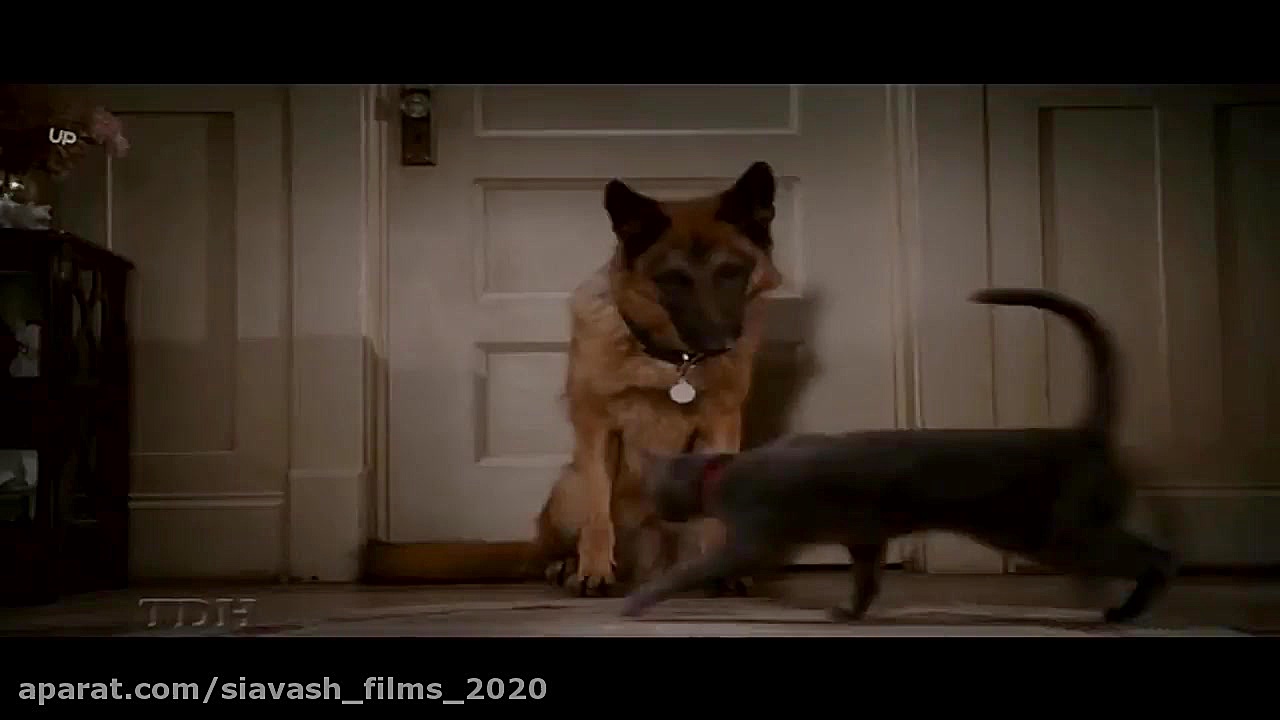 دوبله فارسی انیمیشن ماجرایی " گربه ها و سگها 2  2010 cats and dogs " زمان4418ثانیه