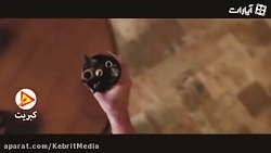 نماهنگ همای رحمت