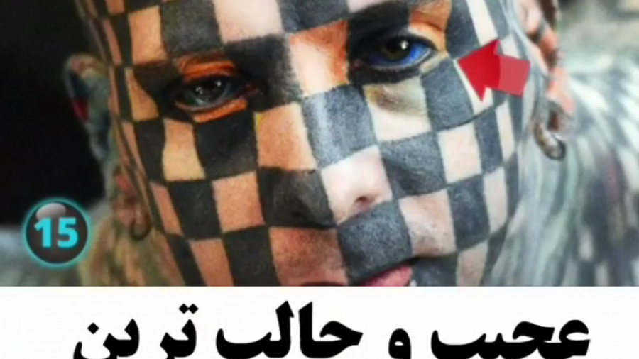 عجیب ترین و جالب ترین تو های جهان