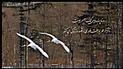 کلیپ تبریک سالروز ازدواج