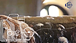 بازدید رئیس گروه مالی گردشگری...