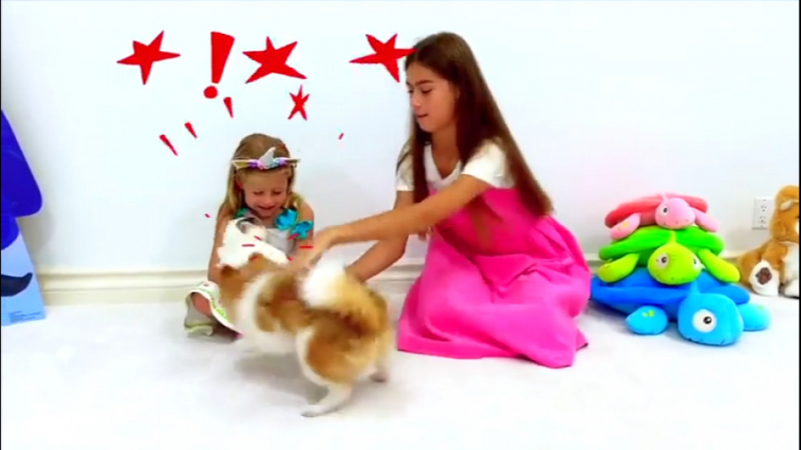 ناستیا و استیسی   -   ناستیا ا...