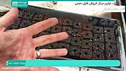 آموزش ساخت گلخانه | کشت گلخانه ای | احداث گلخانه خانگی (کاشت بذر)