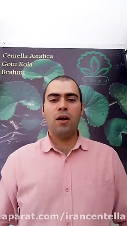 معرفی گیاه دارویی گوتاکولا مقد...