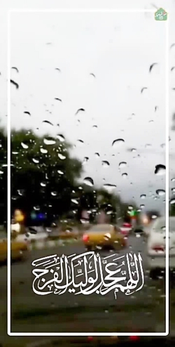 استاد دانشمند