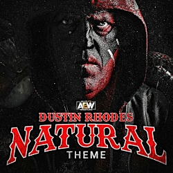 تم سانگ داستین رودز درAEW