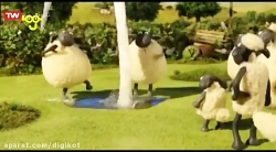 بره ناقلا  قسمت ۱۴۶