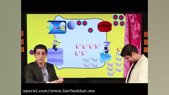 تدریس زیست شناسی حرف آخر_ جذب گلوکز و انیمیشن مینیونها :))) اتوپلاستی