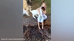 کلیپ باحال و خنده دار از بچه ه...