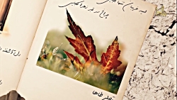 نماهنگ جذاب ندیدم شهی دل آرایی...
