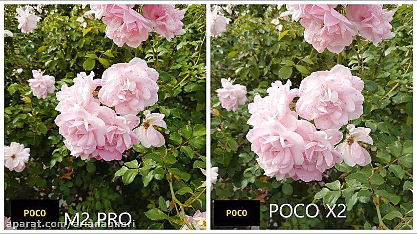 مقایسه دوربین Poco M2 Pro و Poco X2 کوبی برایانت