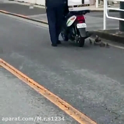 ببین زندگی هنوز خوشگلی هاشو دا...