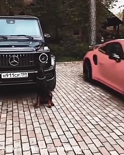 مرسدس بنز و پورشه