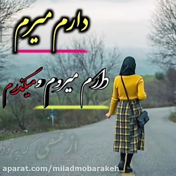 کلیپ عاشقانه زیبا ... عاشقانه...