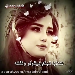 کلیپ جالب باحال زیبا لری