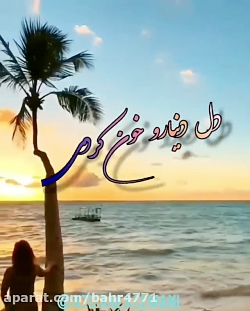 دانلود کلیپ زیبای دل دنیا رو خ...