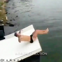 فقط نگاه کنید حالشو ببرین