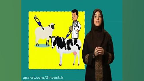 انیمیشن آموزشی آشنایی با تب مالت و راهکار های مبارزه و پیشگیری تب مالت لیزر فرکشنال
