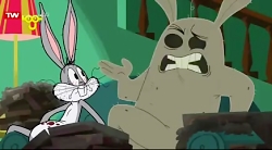 باگز خرگوشه  گرد و غبار