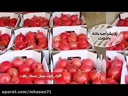 آنچه گذشت...