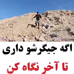 فقط نگاه کن و کف کن دنبال کنی...
