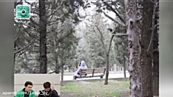 دوربین مخفی تست خیانت دختر راب...