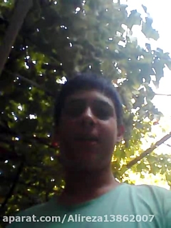 علیرضا‌لایک‌عشق‌۱۳