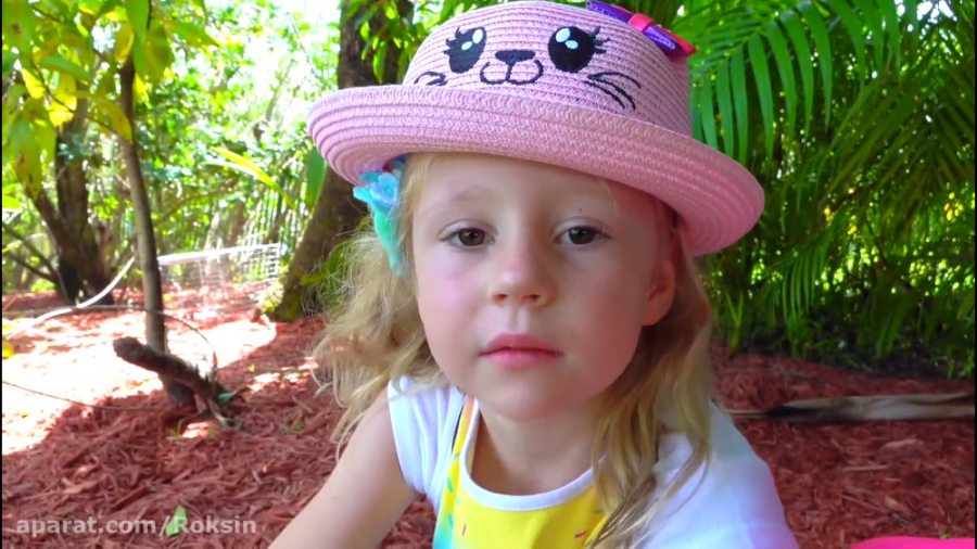 ناستیا :: ماجراجویی در سفر ::...