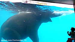 دیانا و روما بازی با حیوانات ب...