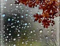 معرفی کتاب شعر « واژه های آفتا...