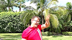 دیانای اتش نشان و نجات پدر