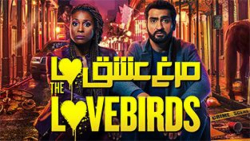فیلم : مرغ عشق ها - The Lovebirds :: دوبله فارسی :: 2020 زمان4932ثانیه
