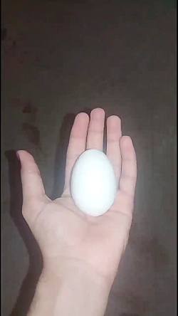 له کردن خوراکی ها 1