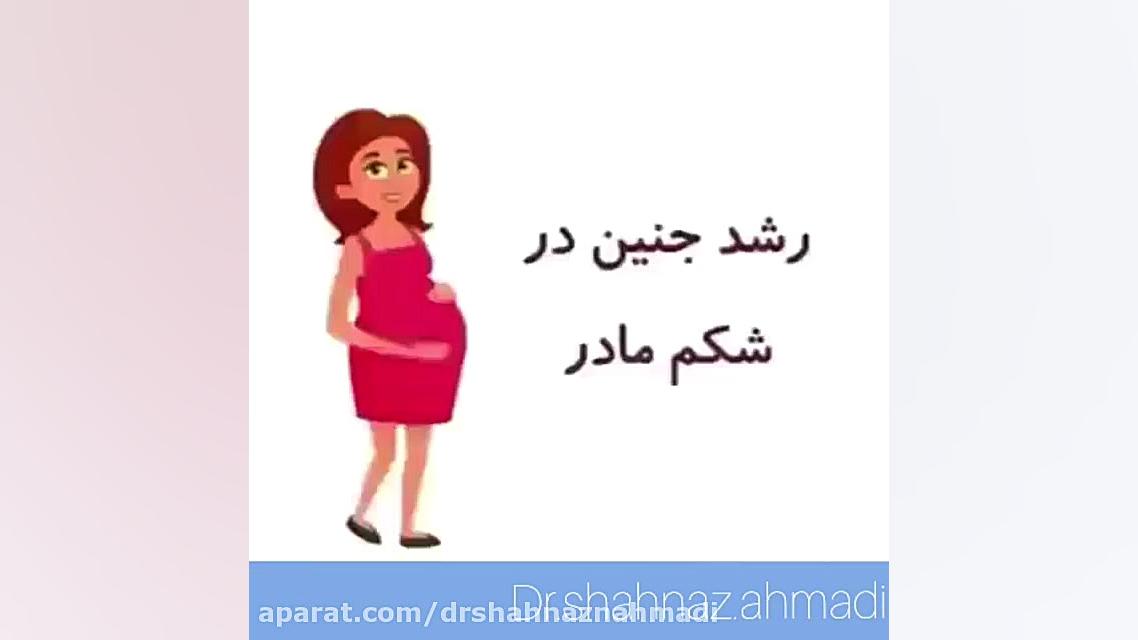 رشد جنین در شکم مادر دکتر شهناز احمدی
