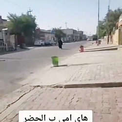 خرید رفتن طنز