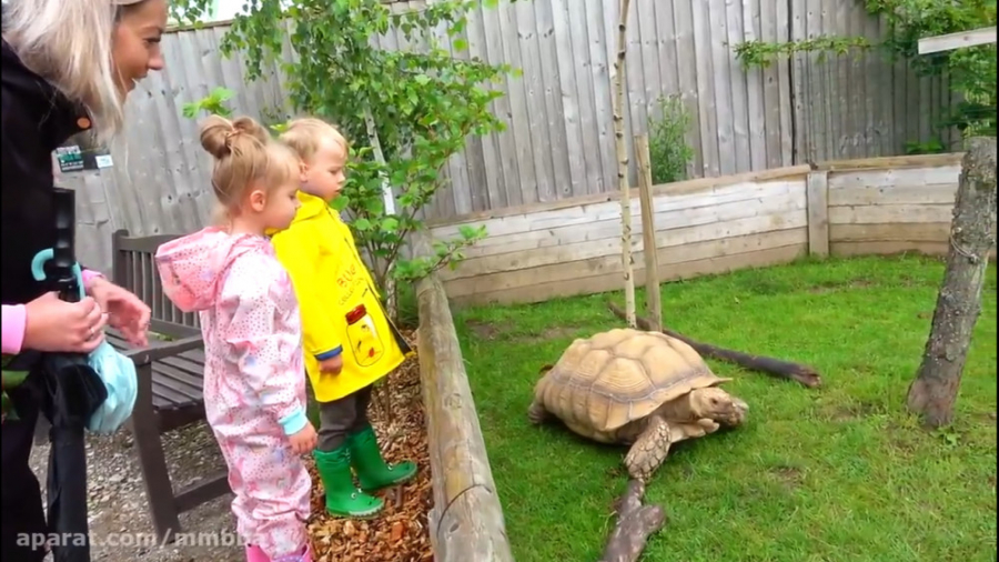 ماجراهای گبی و الکس : بازی با...