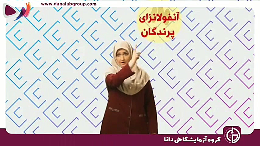 بیماریهای مشترک بین انسان و حیوان هایفوتراپی