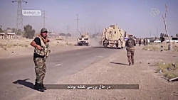 مستند رویای حاتم