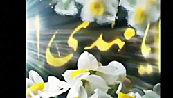 کلیپ عاشقانه امام زمان ❤