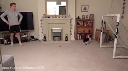 دروازه بانی گربه!!!