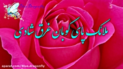 کلیپ تبریک ازدواج امام علی و ح...