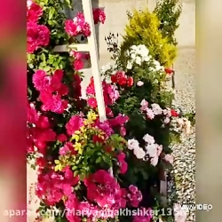 مسابقه عکاسی - دبیرستان حضرت مریم 1 ناحیه 4 کرج