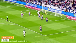 گل‌های جذاب و دیوانه‌کننده‌ی ر...