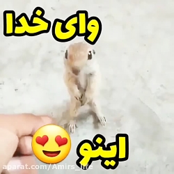 به این نازی
