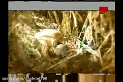 عاصی قسمت 18