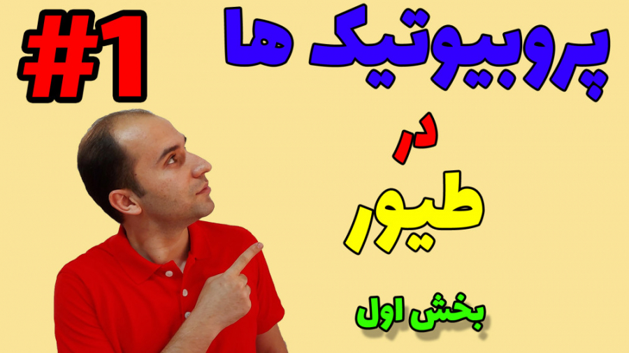 پروبیوتیک ها در طیور - بخش اول دکتر محمد مهدی عبدالهی (دامپزشک)