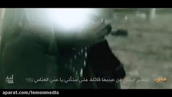 سید مجید بنی فاطمه - عمو