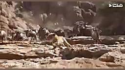 دانلود انیمیشن شیر شاه- 2019 The Lion King با دوبله فارسی زمان108ثانیه