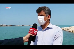 آلودگی ۵۰ درصد شناگاه های شهر...