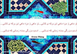 ماه و ماهی حجت اشرف زاده